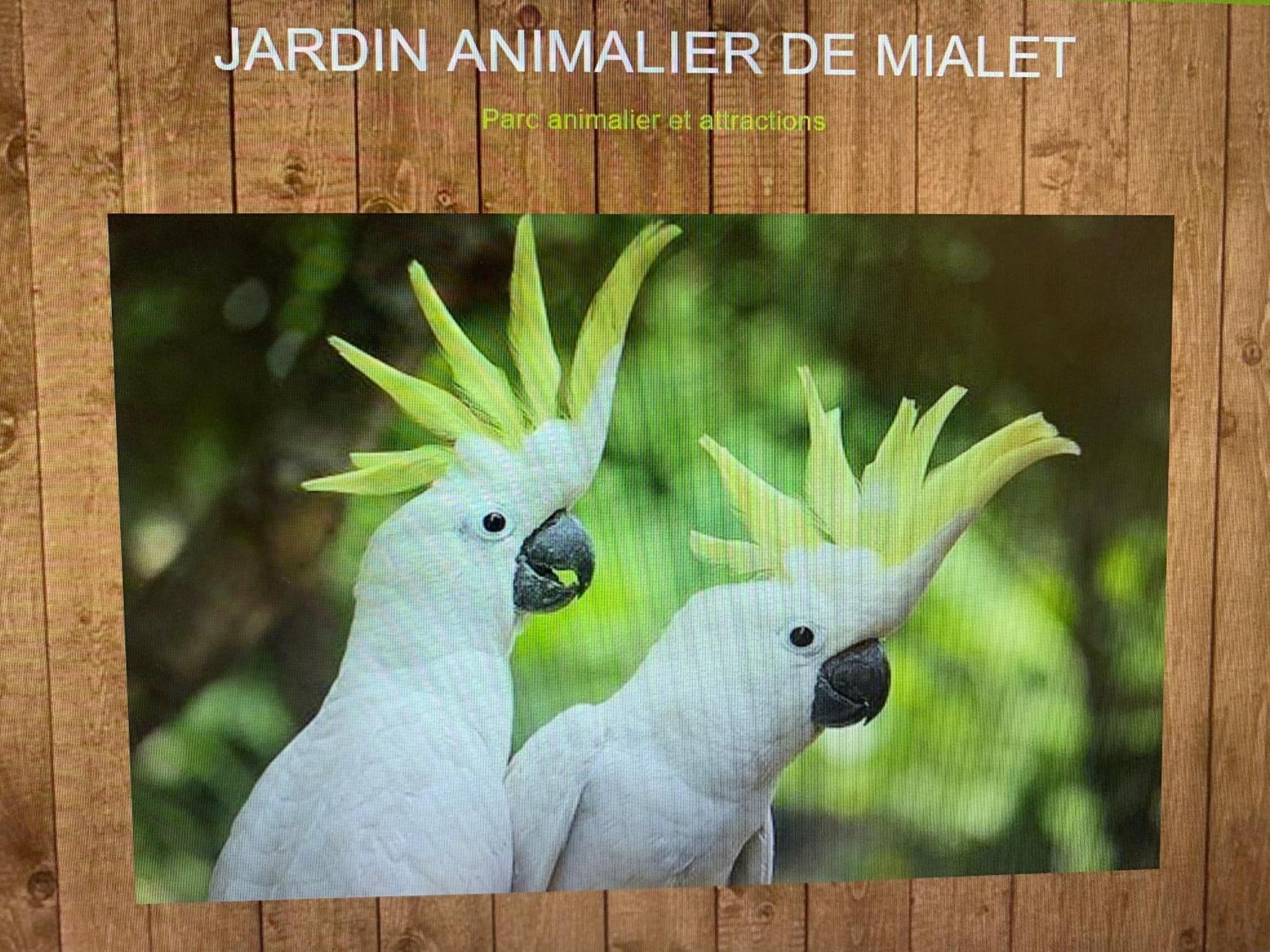 La Magnanerie Lejlighed Mialet  Eksteriør billede
